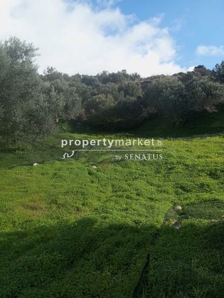 Οικόπεδο 4.400 τ.μ. για πώληση, Ν. Ρεθύμνου, Αρκάδι