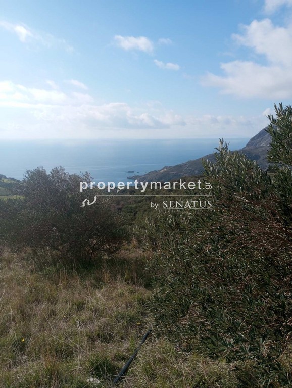 Οικόπεδο 4.400 τ.μ. πρός πώληση, Ν. Ρεθύμνου, Αρκάδι