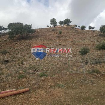 Οικόπεδο 4.690τ.μ. για πώληση-Λάμπη » Μέλαμπες