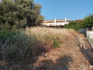 Κοπή χόρτων -Διαχείριση πρασίνου