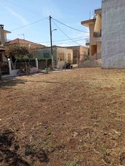 Άλλο 231 τ.μ. για πώληση