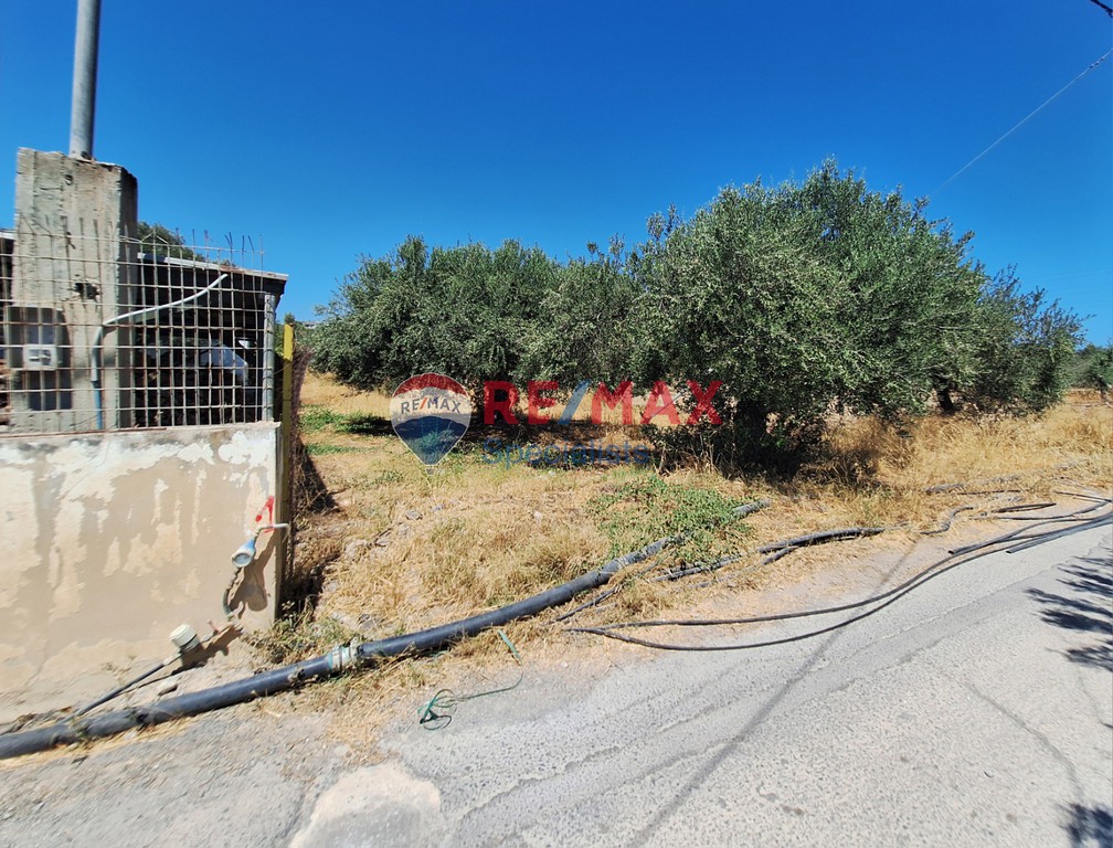 Οικόπεδο 5.466 τ.μ. προς πώληση, Γούρνες Ηρακλείου