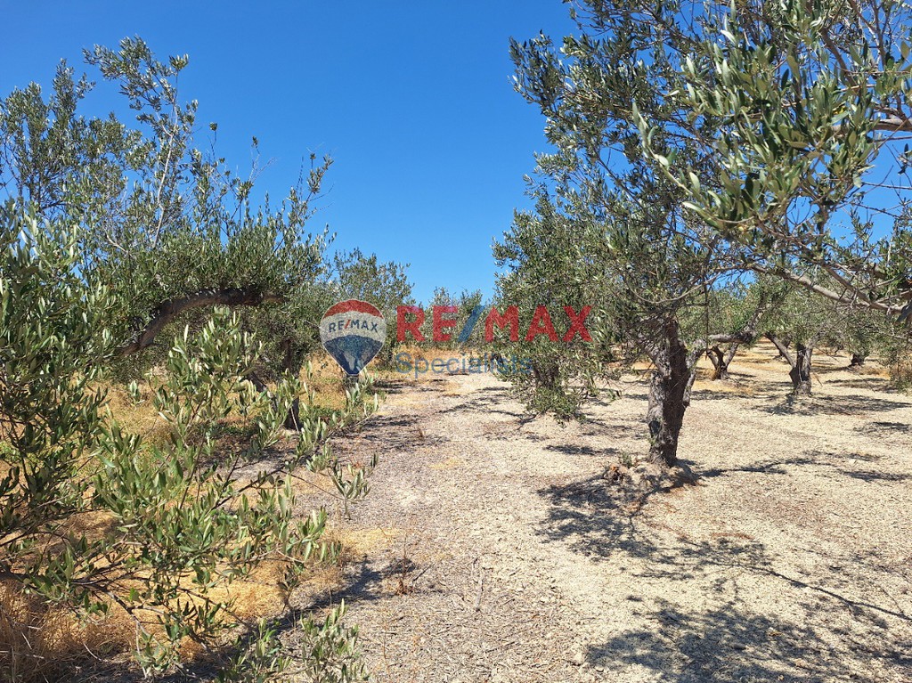 Οικόπεδο 5.466 τ.μ. προς πώληση, Γούρνες Ηρακλείου