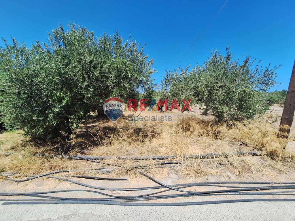 Οικόπεδο 5.466 τ.μ. προς πώληση, Γούρνες Ηρακλείου