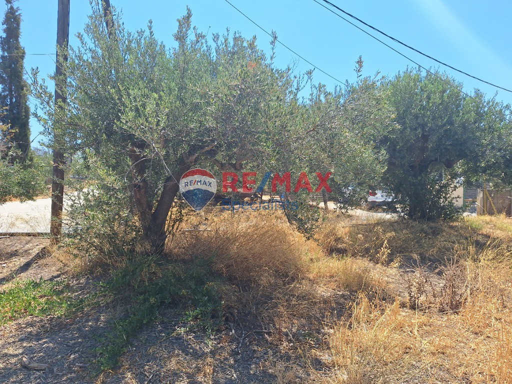 Οικόπεδο 5.466 τ.μ. προς πώληση, Γούρνες Ηρακλείου