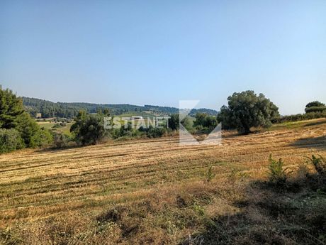 Apartment complex 800sqm for sale-Kassandra » Siviri