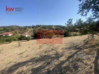 Οικόπεδο 6.485,75 τ.μ. για πώληση, Εύβοια, Αιδηψός-thumb-9