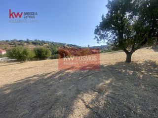 Οικόπεδο 6.485,75 τ.μ. για πώληση, Εύβοια, Αιδηψός-thumb-16