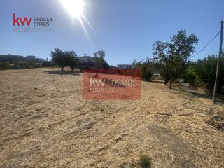 Οικόπεδο 6.485,75 τ.μ. για πώληση, Εύβοια, Αιδηψός-thumb-27