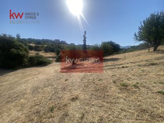 Οικόπεδο 6.485,75 τ.μ. για πώληση, Εύβοια, Αιδηψός-thumb-4