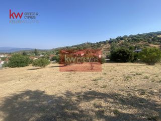 Οικόπεδο 6.485,75 τ.μ. για πώληση, Εύβοια, Αιδηψός-thumb-10