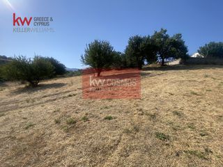 Οικόπεδο 6.485,75 τ.μ. για πώληση, Εύβοια, Αιδηψός-thumb-5