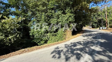 Οικόπεδο 1.893τ.μ. για πώληση-Μούρεσι » Τσαγκαράδα