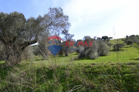 Οικόπεδο 4.507τ.μ. για πώληση-Τυμπάκι » Πιτσίδια