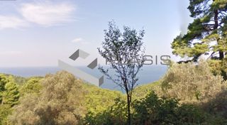 Αγροτεμάχια 4.015 τ.μ. για πώληση