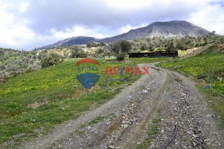 Οικόπεδο 12.000τ.μ. για πώληση-Ρουβάς » Γέργερη