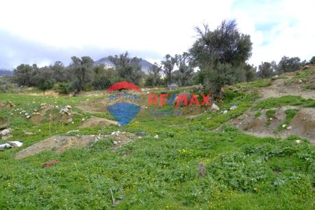 Land plot 12.000sqm for sale-Rouvas » Gergeri