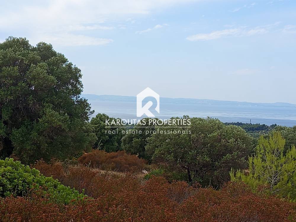 Αγροτεμάχια 8.400 τ.μ. προς πώληση, Νικήτη