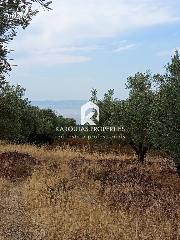 Αγροτεμάχια 8.400 τ.μ. προς πώληση, Νικήτη