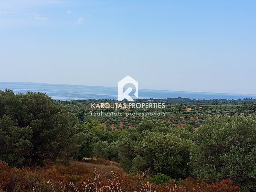 Αγροτεμάχια 8.400 τ.μ. προς πώληση, Νικήτη