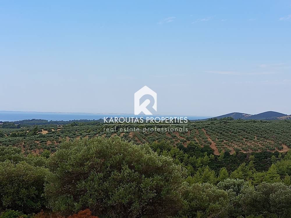 Αγροτεμάχια 8.400 τ.μ. προς πώληση, Νικήτη