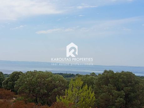 Αγροτεμάχια 8.400τ.μ. για πώληση-Σιθωνία » Νικήτη