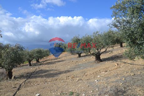 Αγροτεμάχια 10.377τ.μ. για πώληση-Μοίρες » Κουσές