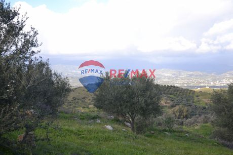 Αγροτεμάχια 12.802τ.μ. για πώληση-Μοίρες » Κουσές