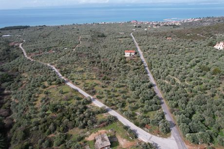 Αγροτεμάχια 418τ.μ. για πώληση-Θάσος » Σκάλα καλλιράχης