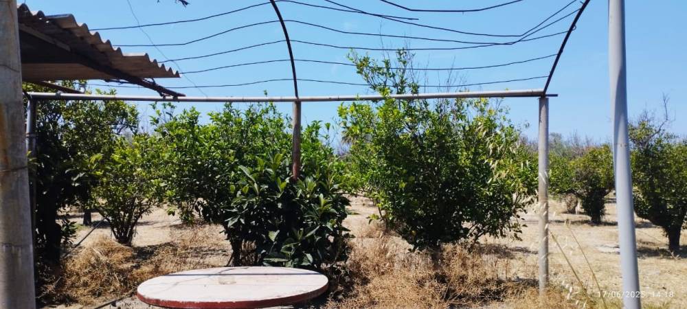 Οικόπεδο 4.108 τ.μ. πρός πώληση, Κορινθία, Σικυώνα