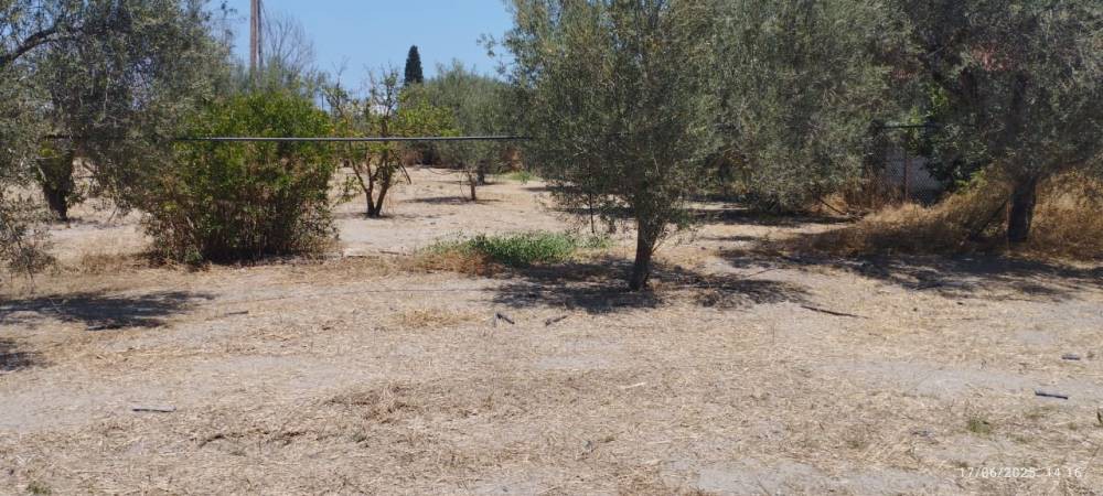 Οικόπεδο 4.108 τ.μ. πρός πώληση, Κορινθία, Σικυώνα