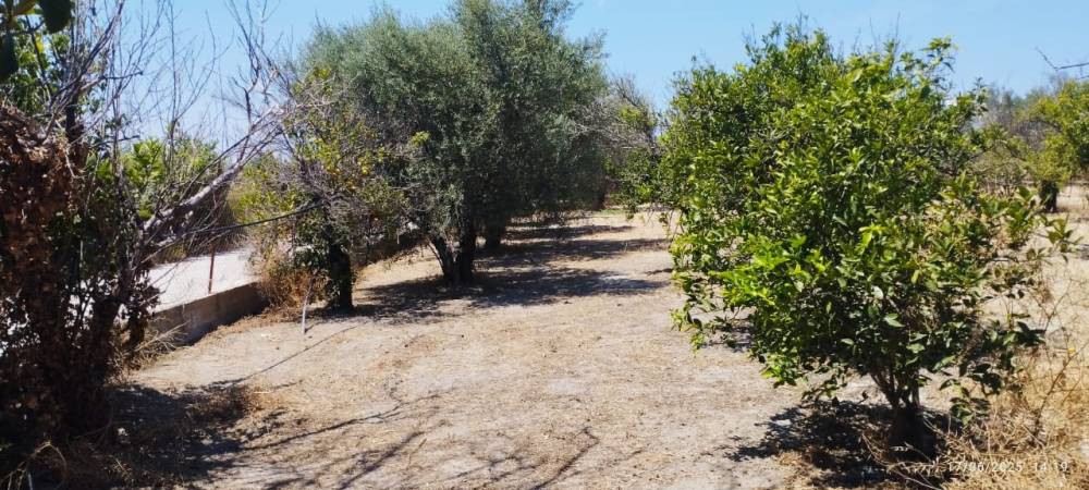 Οικόπεδο 4.108 τ.μ. πρός πώληση, Κορινθία, Σικυώνα
