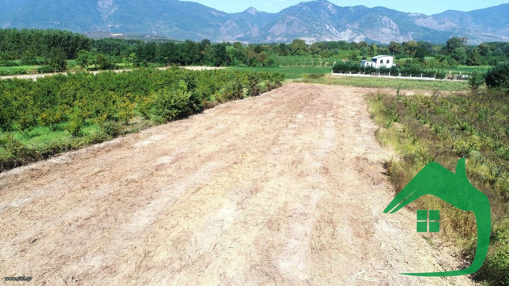 Αγροτεμάχια 3.500 τ.μ. πρός πώληση, Πέλλα, Αριδαία