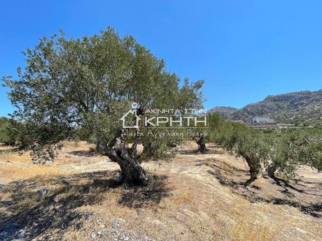 Land plot 1.697sqm for sale-Ierapetra » Kato Chorio