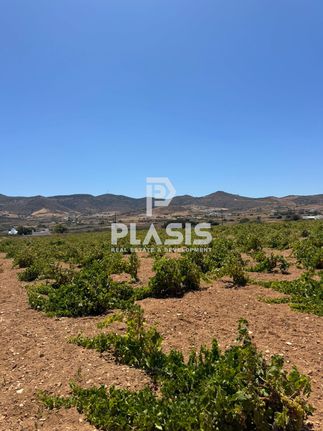 Αγροτεμάχια 8.300 τ.μ. για πώληση, Κυκλάδες, Αντίπαρος