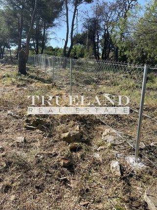 Land plot 900 sqm for sale, Athens - North, Dionisos