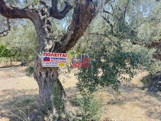 Αγροτεμάχια 391 τ.μ. για πώληση