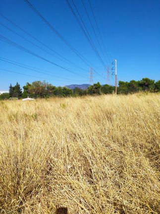 Land plot 4.132 sqm for sale, Athens - North, Anoixi