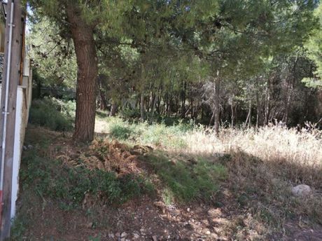 Οικόπεδο 800τ.μ. για πώληση-Διόνυσος