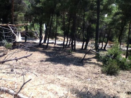 Οικόπεδο 904τ.μ. για πώληση-Διόνυσος