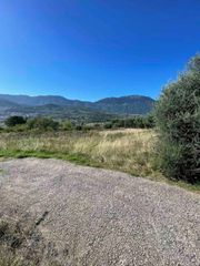 Οικόπεδο 2.000 τ.μ. για πώληση