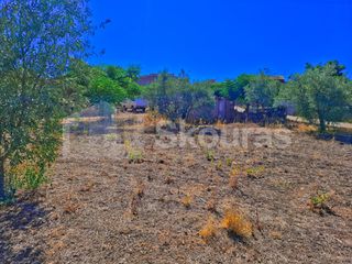 Οικόπεδο 401 τ.μ. για πώληση, Αργολίδα, Ασίνη-thumb-19