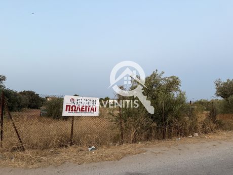 Αγροτεμάχια 5.400τ.μ. για πώληση-Αρτέμιδα (λούτσα) » Άγιος σεραφείμ