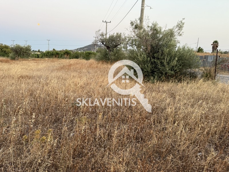 Αγροτεμάχια 5.400 τ.μ. πρός πώληση, Αθήνα - Ανατολικά Προάστια, Αρτέμιδα (λούτσα)