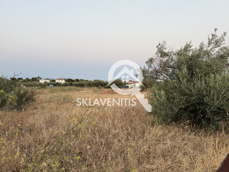 Αγροτεμάχια 5.400 τ.μ. πρός πώληση, Αθήνα - Ανατολικά Προάστια, Αρτέμιδα (λούτσα)