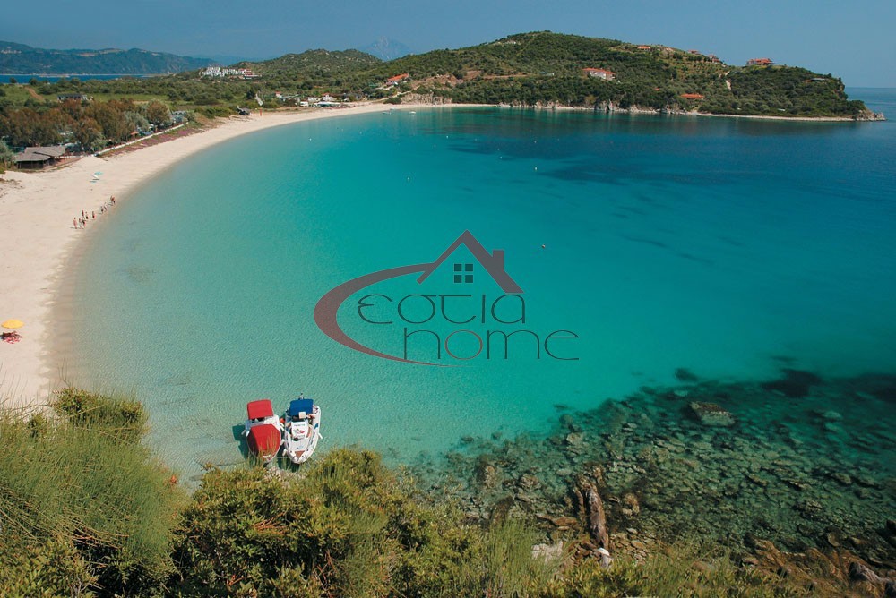 Αγροτεμάχια 7.000 τ.μ. προς πώληση, Αμολιανή