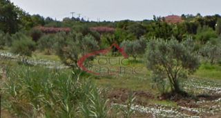 Αγροτεμάχια 6.000 τ.μ. για πώληση