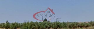 Αγροτεμάχια 4.000 τ.μ. για πώληση
