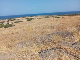 Αγροτεμάχια 9.000 τ.μ. για πώληση