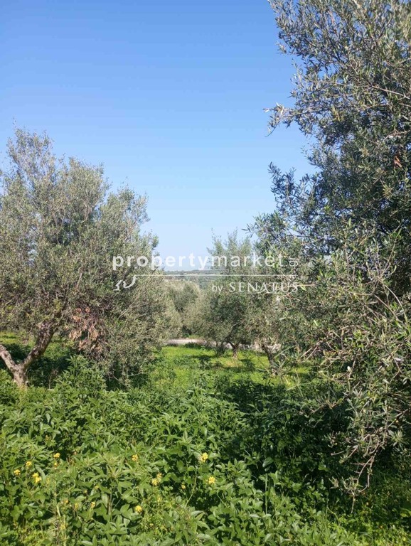 Αγροτεμάχια 4.007 τ.μ. πρός πώληση, Ν. Ρεθύμνου, Νικηφόρος Φωκάς